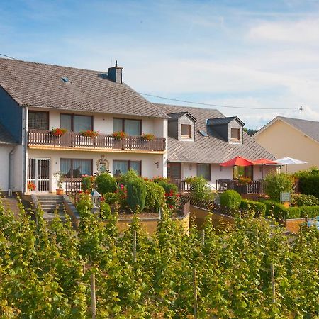 Pension Und Weingut Moselblick Браунеберґ Екстер'єр фото