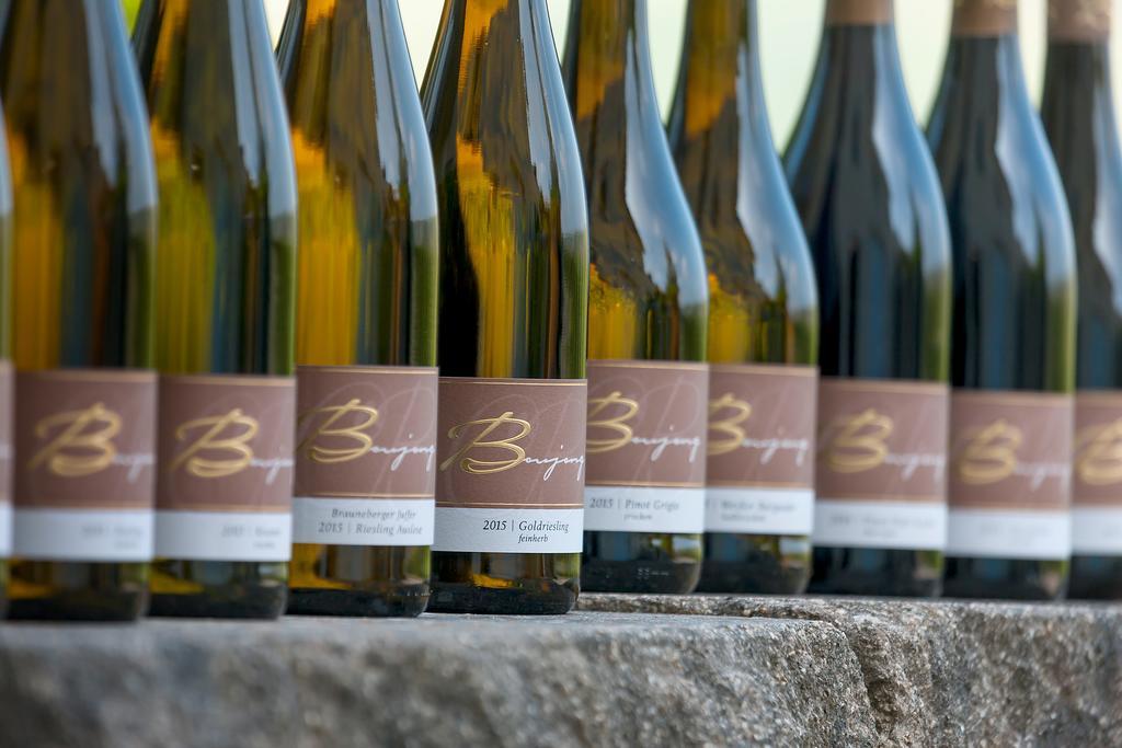 Pension Und Weingut Moselblick Браунеберґ Екстер'єр фото